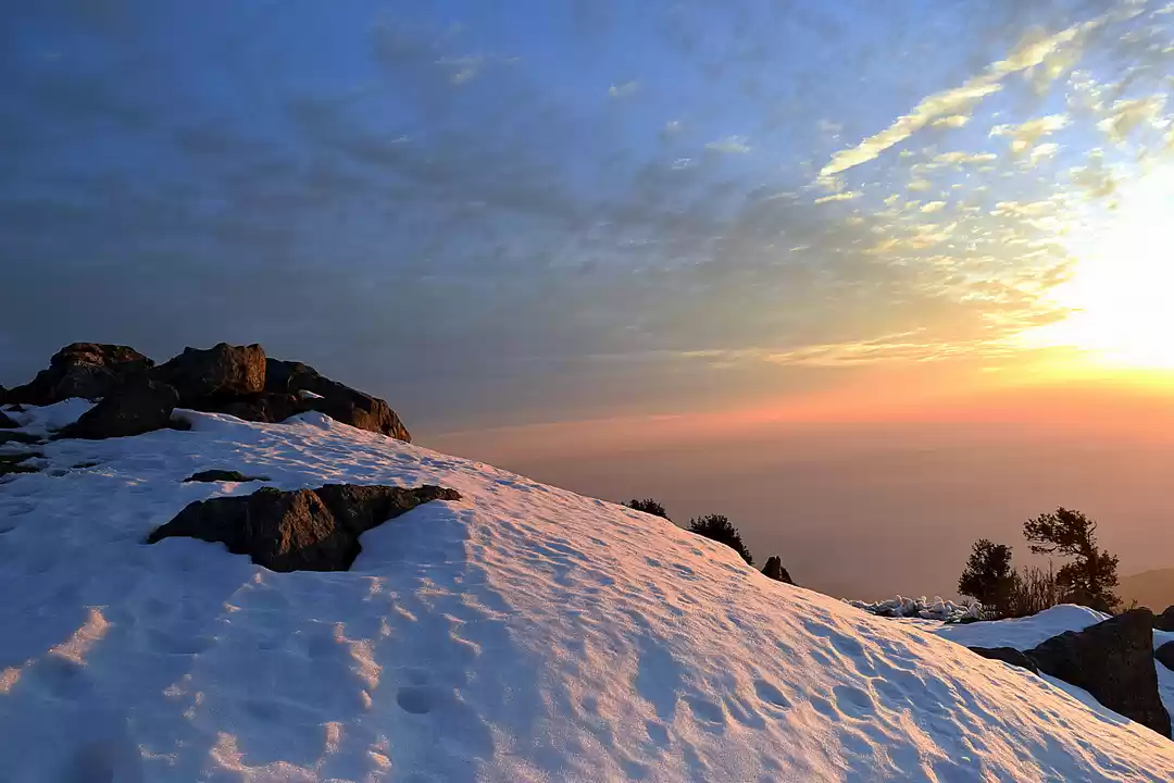 Triund Trek